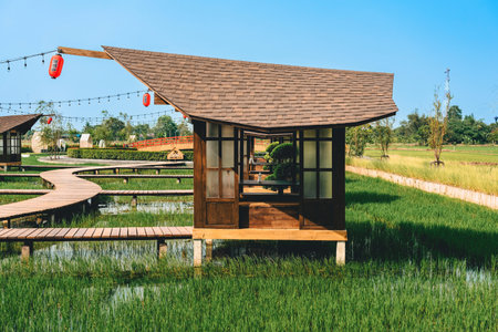 KANCHANABURI-THAILAND,MARCH 30, 2023 : Beautiful landscape in Japanese architectural style resting in the midst of verdant rice fields outdoors at Tomi Edo Park. Beautiful Outdoor Restaurant and cafeのeditorial素材