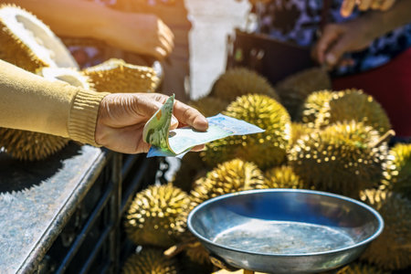 Elderly Thai female vendor ride motorcycle selling durians and fruits and vegetables to tourists at roadside. Street Merchant cut open and sell flesh of fresh durian. Durian trading. Selective focus.の写真素材