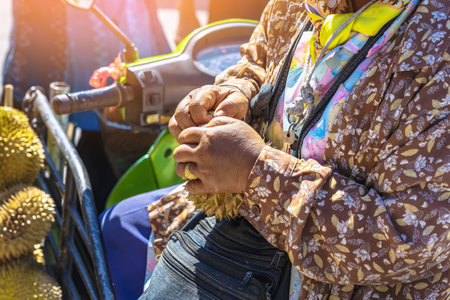 Elderly Thai female vendor ride motorcycle selling durians and fruits and vegetables to tourists at roadside. Street Merchant cut open and sell flesh of fresh durian. Durian trading. Selective focus.の写真素材