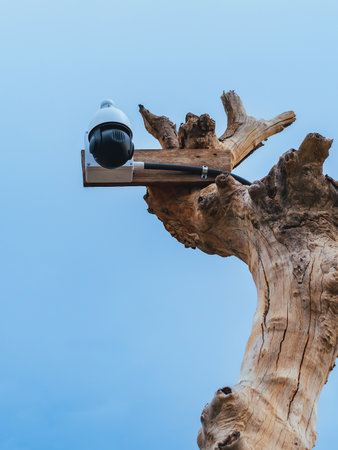 Closed circuit camera multi-angle CCTV system camera installed on dead tree in the garden. Security...