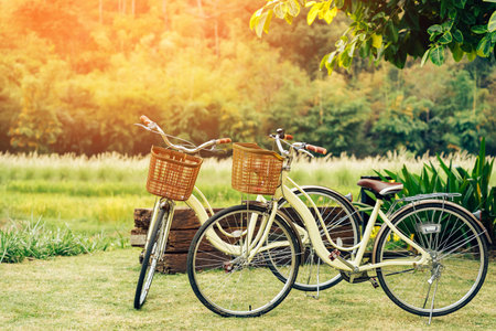 Two beautiful retro bicycle parked on green grass in farmland with blurred image of meadow in the background.  Taking a rest after cycling in the agriculture park. Beautiful vintage bicycle in garden.の写真素材