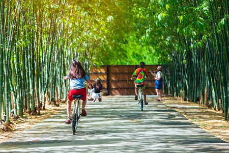 Young Happy Asian woman rides bicycle in sunny park. Woman ride bicycle with having fun to exercise activity with healthy lifestyle in garden. Chilling and relaxing young Asian woman enjoys nature.の写真素材