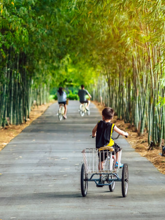 Back view of Happy Asian young boy enjoy with tricycle in bamboo park. Asian child rides tricycle...