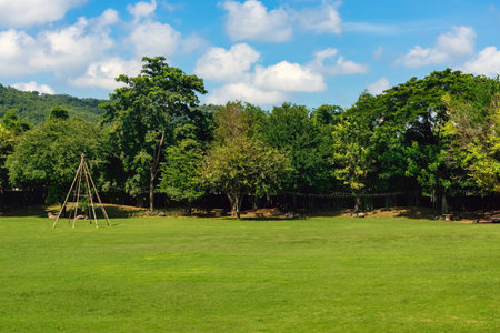 Beautiful view of nature with green grass, lush trees, mountain and sky. Beautiful landscape, fresh trees forest, green grass field, scenery valley in the mountains, Cloud blue sky, Green Landscape.の写真素材