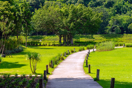 Pathway passes through lush grassy fields amidst a beautiful tranquil nature with the mountains in background. Beautiful view of nature with green grass, lush trees, mountain and sky. Green Landscape.の写真素材