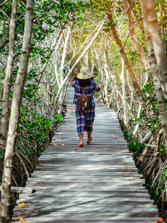 Back view of happy woman wear hat with bag travel walk alone through on bridge wood with beautiful view of mangrove forest. Female tourists refreshing and walk in the mangrove forest on vacation.の写真素材