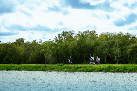 Family riding bicycles by river bank with beautiful view of mangrove forest. Happy family of three in casual wear riding bicycles while moving along riverside while enjoying active rest together.の写真素材