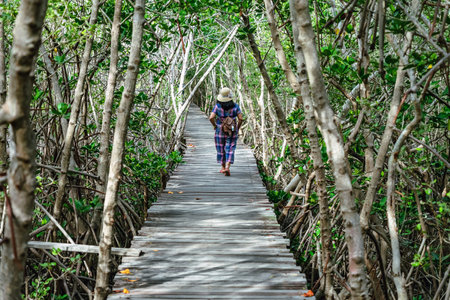 Back view of happy woman wear hat with bag travel walk alone through on bridge wood with beautiful...