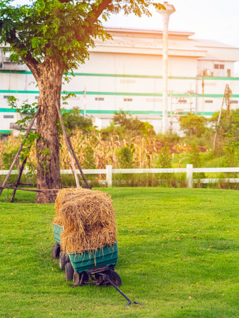 Old vintage carriage with hay stacks in green field. Green hay cart in countryside. Wagon with haystacks and scenic. Countryside bales of hay on old hay wagon. Wheelbarrow with hay against in farmlandの写真素材