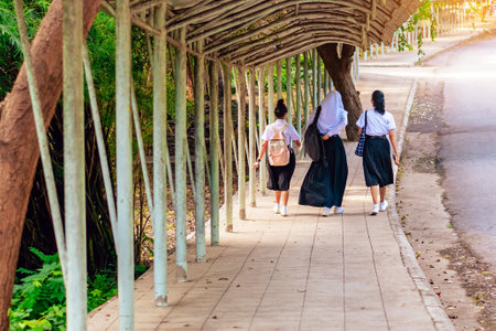 Cheerful muslim woman wearing hijab walking with her friend. Happy three asian female students friend in uniform walking together on footpath in campus. Multicultural female friends outdoors.Diversityの写真素材