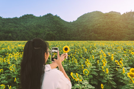 Young woman using mobile phone to take pictures of mango ice cream made into a sunflower shape in hand with blurred sunflower garden in background. Happy young woman with Sunflower ice pop outdoors.の写真素材