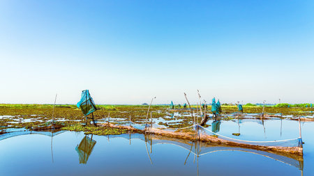 Traditional fish trap with beautiful landscape view. Shrimp and crab traps. Fish trapping on river. Nature fishery background. Dip catcher fishing net homemade of blue nylon nets and steel frame.の写真素材
