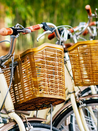 Beautiful retro bicycle parked on pathway in bamboo garden with blurred image of park in background. Beautiful vintage bicycle in bamboo forest. Bicycles on road with bamboo trees. Selective focus.の写真素材