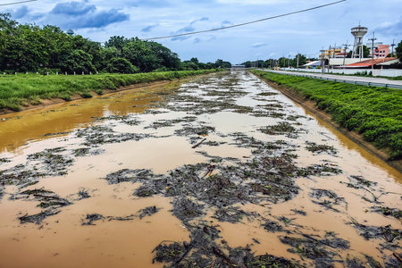 View of irrigation canal with weeds and debris flowing together with strong flowing dirty brown...
