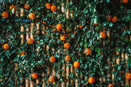 Many DIY head of Halloween Jack o Lantern Pumpkin with spooky smiling face with foliage and bamboo backdrop. Orange color of pumpkin heads. Happy Halloween concept. Traditional Halloween pumpkin.の写真素材