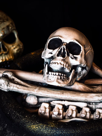 Scary evil skull. Outdoor halloween decoration. Halloween skeleton for decoration party. Artificial Ghost or scary for party.Trick or treat. Halloween background. Holiday of Halloween and Thanksgivingの写真素材