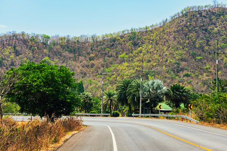 Beautiful view of green trees growing on top of mountain range in rainy season and the drought in summer has passed. Ecology of trees and seasonal environments. Beautiful landscape nature concept.の写真素材