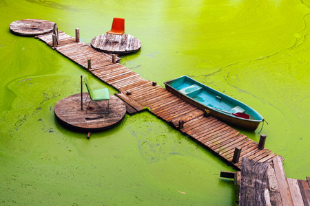 Beautiful scenery green and relaxing view of old pier with wooden bridge and chair with boat floating on full of duckweed covering the green surface of water in pond or swamp.Beautiful green landscapeの写真素材