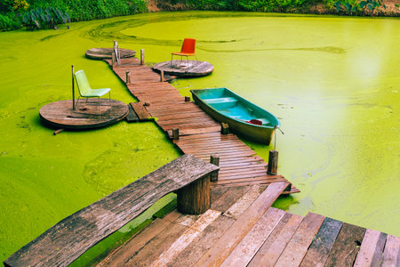 Beautiful scenery green and relaxing view of old pier with wooden bridge and chair with boat floating on full of duckweed covering the green surface of water in pond or swamp.Beautiful green landscapeの写真素材