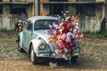 KANCHANABURI,THAILAND-FEBRUARY 12,2024 : An exhibition of beautiful antique cars decorated with artificial flower bouquets on lawn at The old paper mill. Vintage car with beautiful flower bouquet.のeditorial素材