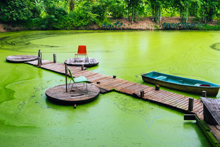 Beautiful scenery green and relaxing view of old pier with wooden bridge and chair with boat floating on full of duckweed covering the green surface of water in pond or swamp.Beautiful green landscapeの写真素材