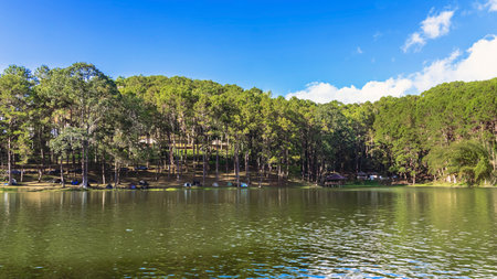 Beautiful destination nature lake and forest of Pang Oung lake and pine forest in Mae Hong Son, Thailand. Nature landscape. Environmental friendly outdoor activity and camping surrounded by valley.の写真素材