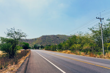 Beautiful view of green trees growing on top of mountain range in rainy season and the drought in summer has passed. Ecology of trees and seasonal environments. Beautiful landscape nature concept.の写真素材