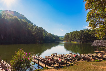 Beautiful destination nature lake and forest of Pang Oung lake and pine forest in Mae Hong Son, Thailand. Nature landscape. Environmental friendly outdoor activity and camping surrounded by valley.の写真素材