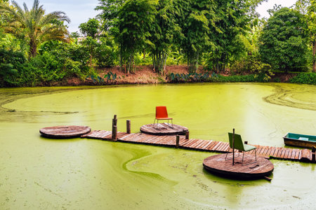 Beautiful scenery green and relaxing view of old pier with wooden bridge and chair with boat floating on full of duckweed covering the green surface of water in pond or swamp.Beautiful green landscapeの写真素材
