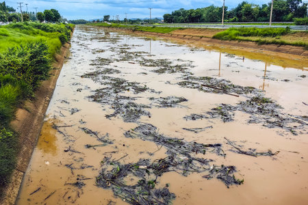 View of irrigation canal with weeds and debris flowing together with strong flowing dirty brown water due to soil and mud from forest after heavy rains and floods.の写真素材