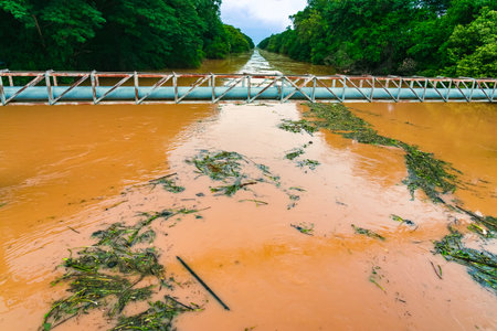 View of irrigation canal with weeds and debris flowing together with strong flowing brown water due to soil and mud from forest after heavy rains and floods.の写真素材