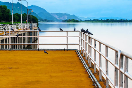 Pigeons perched on iron railing, with serene river and mountain in background. Flock of pigeons...