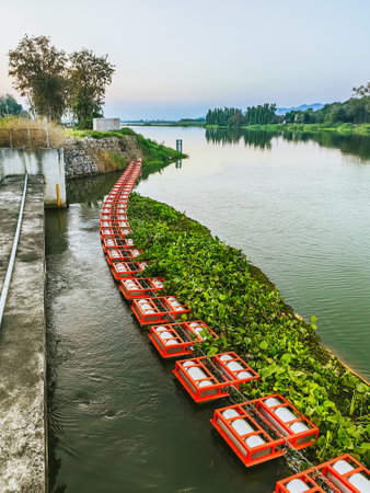 Water hyacinth float on river protected by buoys. Buffer zone from water hyacinth. Floating equipment across waste and weed on water. Water hyacinth and waste protection buoys for irrigation and damの写真素材