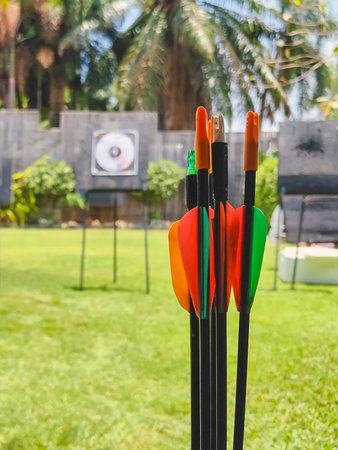 Close up to feather end of archery arrows at outdoor archery shooting range. Archery equipment. Brightly colored fletching and shaft of arrow with green grass background. Sport and recreation concept.の写真素材