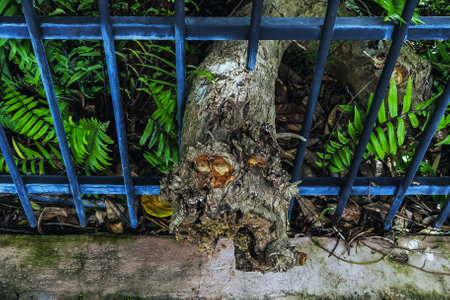 Large tree roots or old logs allowed to pass through iron fence via specially designed openings that...