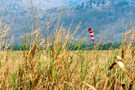 Windsock indicator of wind in meadow with beautiful scenic. Flying windsock or wind vane in field....