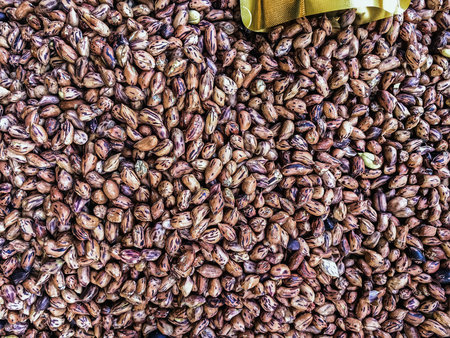 Top view of roasted Tiger beans peanut. Tiger stripe beans. Tiger pattern nut or queen nut....