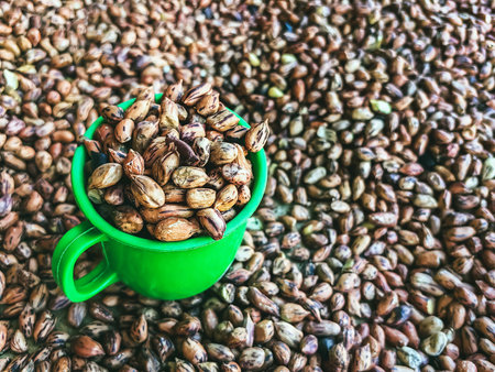 Roasted Tiger beans peanut in green cup. Tiger stripe beans. Tiger pattern nut or queen nut....