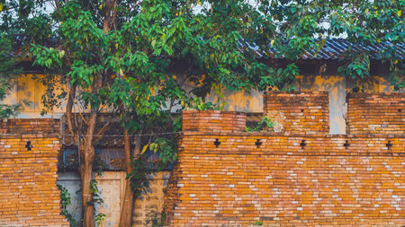 Area of gap caused by old cracks in ancient brick wall and trees growing there. Broken brick wall. View of hole in old and aged brick wall texture with broken and damaged bricks. Destroyed brick wall.の写真素材