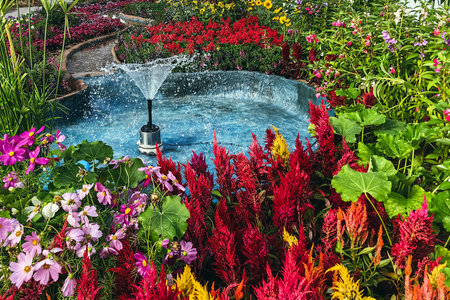 Colorful spring flowers decoration in park for gardening ideas in greenhouse. Various floral combinations. Colourful beautiful flowers plants field botanical garden indoors. Lush flower beds in gardenの写真素材