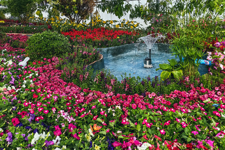 Colorful spring flowers decoration in park for gardening ideas in greenhouse. Various floral combinations. Colourful beautiful flowers plants field botanical garden indoors. Lush flower beds in gardenの写真素材