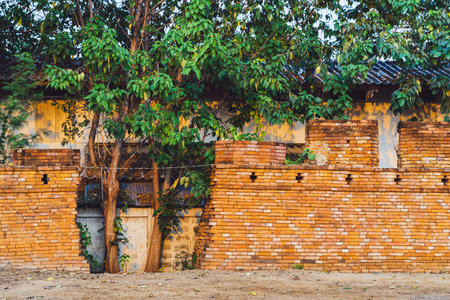 Area of gap caused by old cracks in ancient brick wall and trees growing there. Broken brick wall. View of hole in old and aged brick wall texture with broken and damaged bricks. Destroyed brick wall.の写真素材