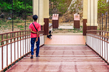 Back view of lonely man wear red shirt and jeans walks down wooden suspension bridge and two stray black dogs or homeless dog relaxing at the foot of wooden bridge.
Man walking on wood bridge alone.の写真素材
