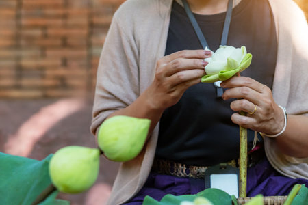 Hands of woman folding petal lotus for pray Buddha. Woman arrangement by handmade for religious worship. Fold lotus flower petals garland. Thai culture hand making decoration on lotus flower leaf.の写真素材