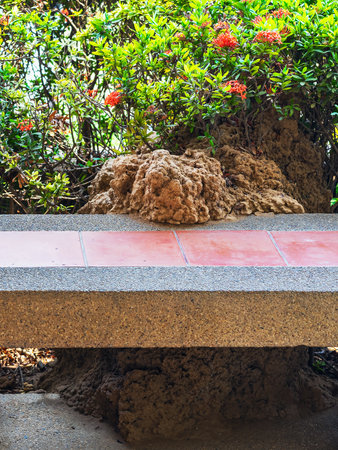 A large, earthen termite mound grown up onto the concrete bench, forming an unusual natural feature right beside the dense, green bushes with small red flowers, against tiled terrace floor and pillar.の写真素材