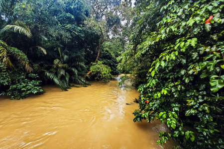 View of brown flood water covers and fills yards of houses and showing serious disaster from...