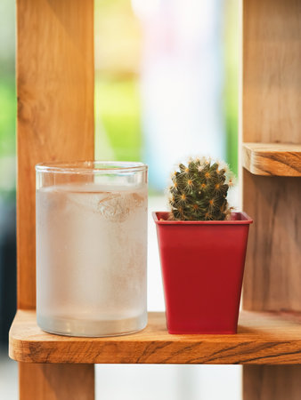 Small glass of cool pure water with little cactus in pot on brown wooden shelves background. Fresh water in the glass and flower pots. Desert and thirsty concept, Drink clear water for health concept.の写真素材