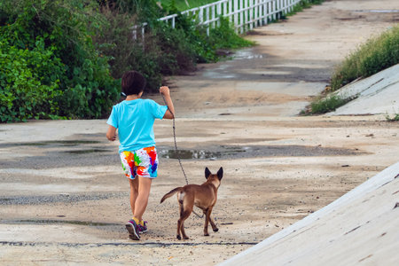 Asian woman walking together with her pet along path in park. Sports woman walking for exercise with dog outside in park. Cheerful woman walking and running with her dog on sidewalk. Active leisure.の写真素材