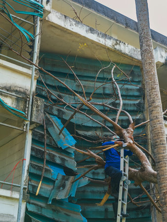 Handyman repair concrete building damaged by large fallen tree branch after natural disaster....