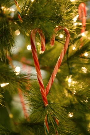 Christmasの写真素材